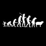 Modern Evolution